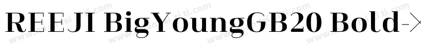 REEJI BigYoungGB20 Bold字体转换
